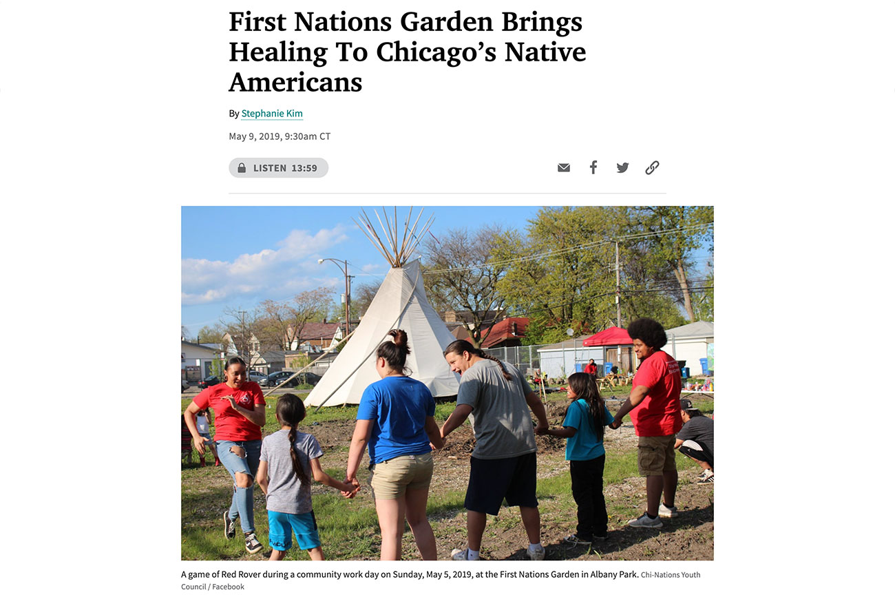 First Nations Garden Chicago Illinois Community Native American First Nations Plants Interview WBEZ Chicago First Nations Garden Brings Healing To Chicago’s Native Americans