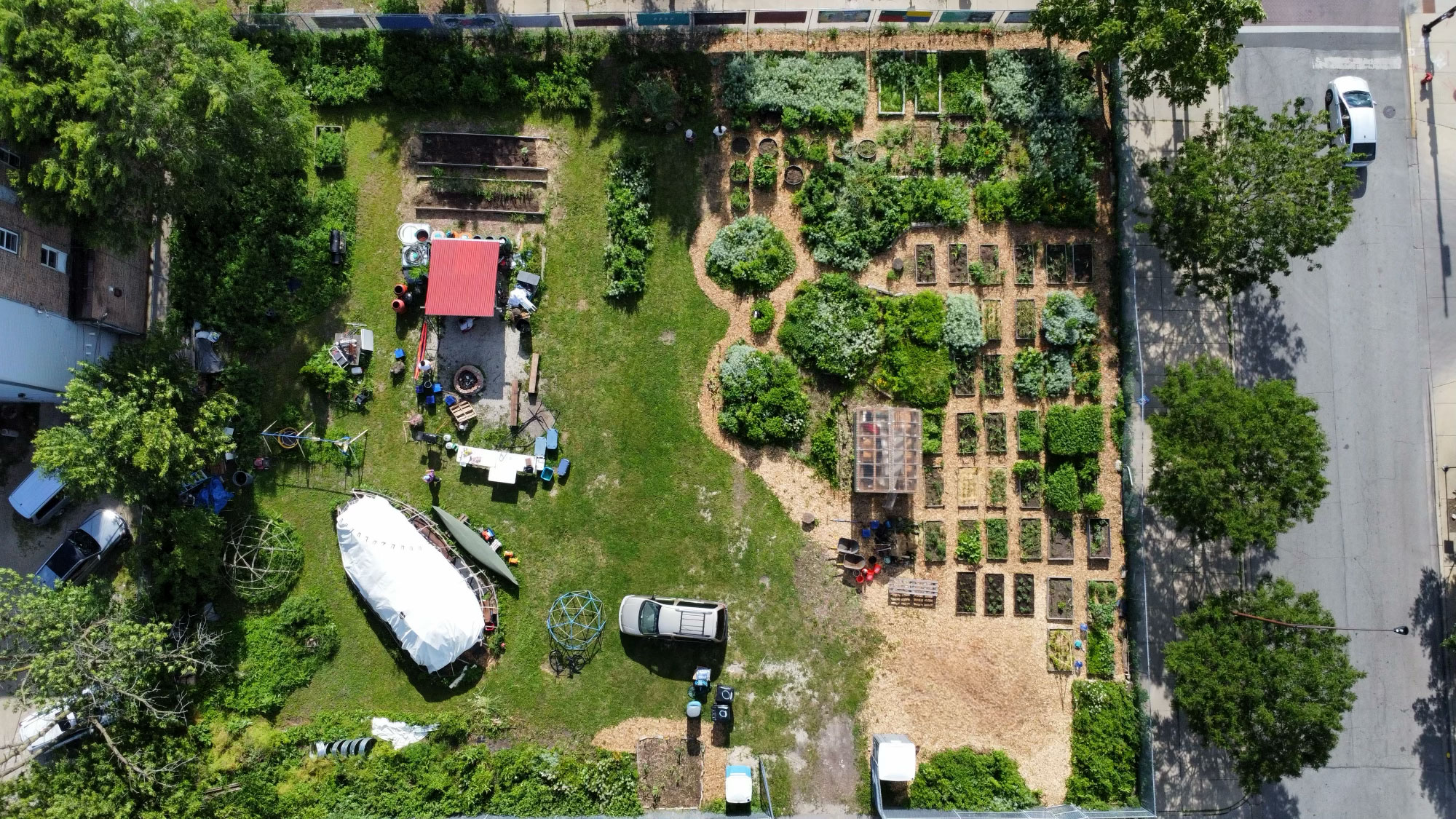 First Nations Garden Chicago Illinois Community Native American First Nations Plants